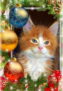 Krásné Vánoce a šťastný nový rok 2026